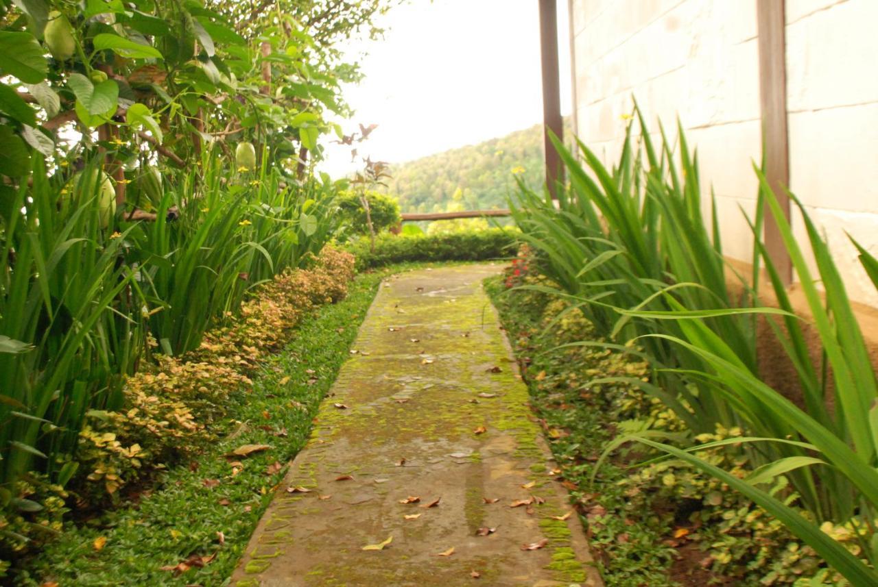 Munduk Clove المظهر الخارجي الصورة